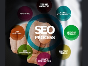 SEO & Marketing